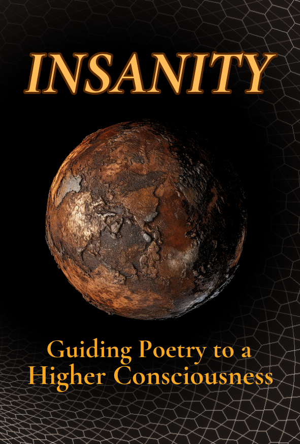 Insanity: Guiding Poetry to a Higher Consciousness (Book 6)