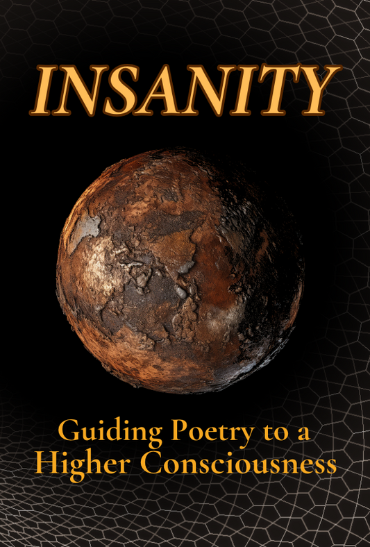 Insanity: Guiding Poetry to a Higher Consciousness (Book 6)